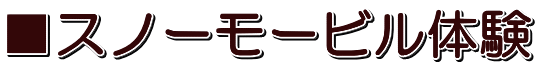 ■スノーモービル体験